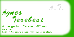 agnes terebesi business card